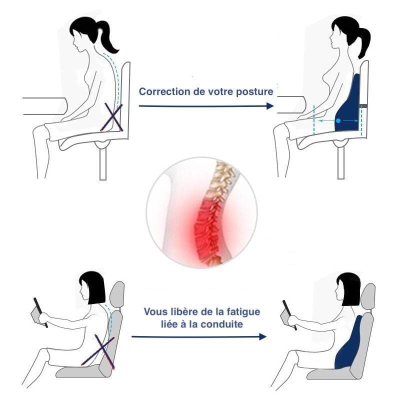 ORTHOPERI️ Coussin de confort dorsal